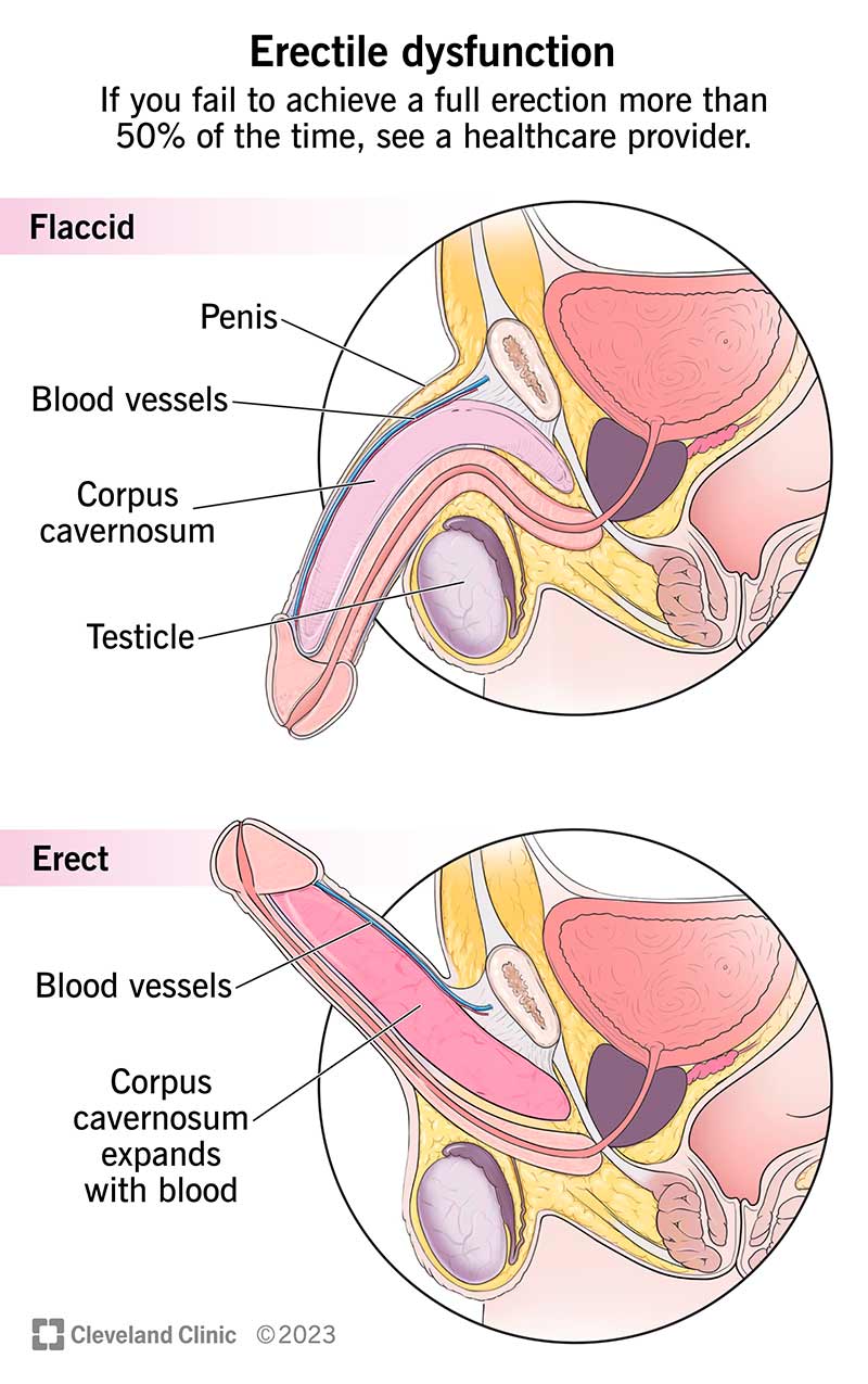 ED research